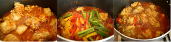 cooking chicken curry.