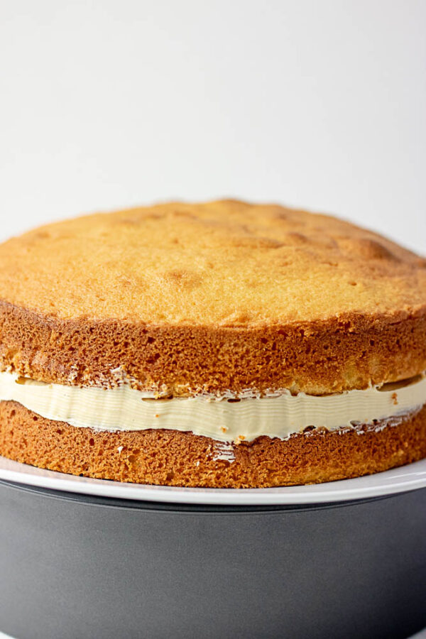 a whole vanilla sponge cake with buttercream filling placed on a plate 