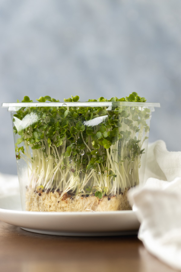 a punnet if salad cress placed on a plate.